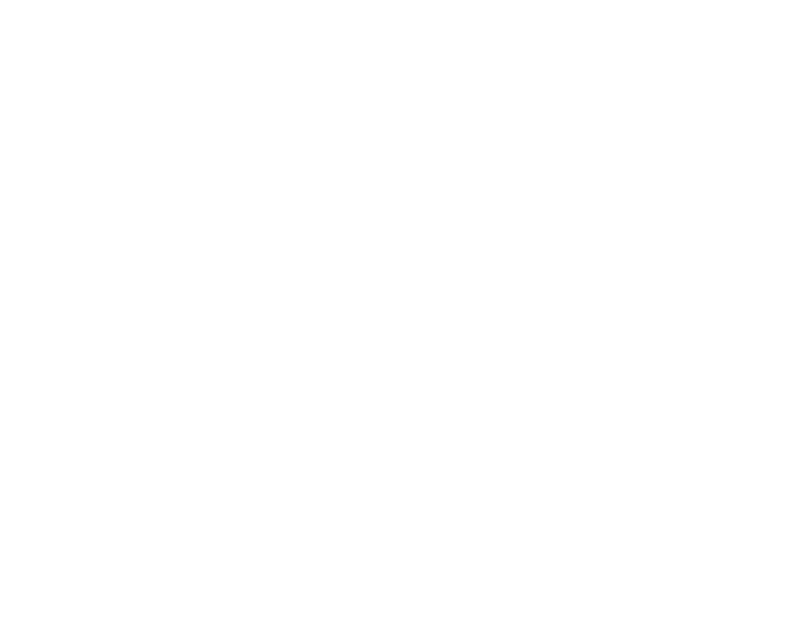 Carrefour%20White%20Logo